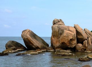 Du lịch Cà Mau hè 2021 ngắm toàn cảnh Đất Mũi
