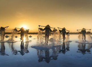 Trải nghiệm làng nghề làm muối dành cho du khách trong và ngoài nước Trải nghiệm làng nghề làm muối dành cho du khách trong và ngoài nước