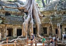 Khám phá đền Ta Prohm Campuchia, ngôi đền bí ẩn với những rễ cây kì dị