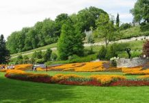 Chiêm ngưỡng vẻ đẹp của đảo hoa Mainau ở miền Nam nước Đức